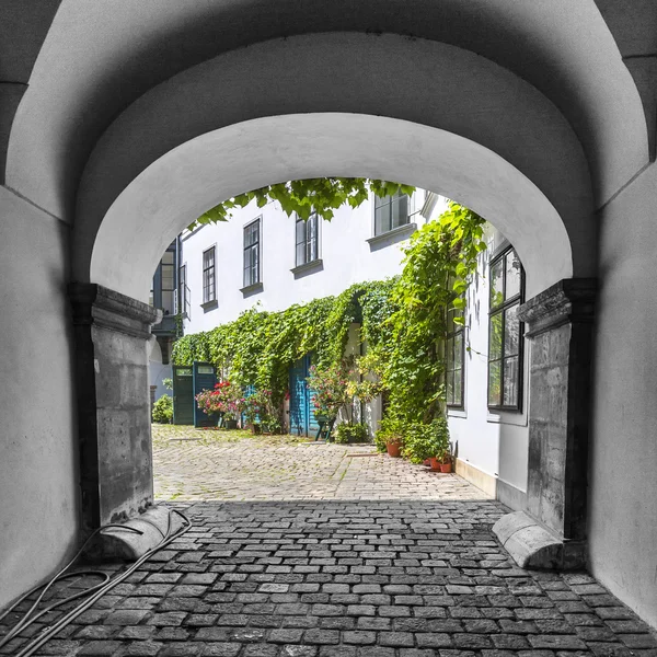 Straat van de oude stad in het centrum van Wenen. Oostenrijk. — Stockfoto