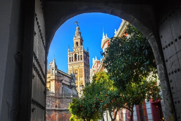 Catedral de Santa Maria da Sé. Sevilha, Espanha . — Fotografia de Stock