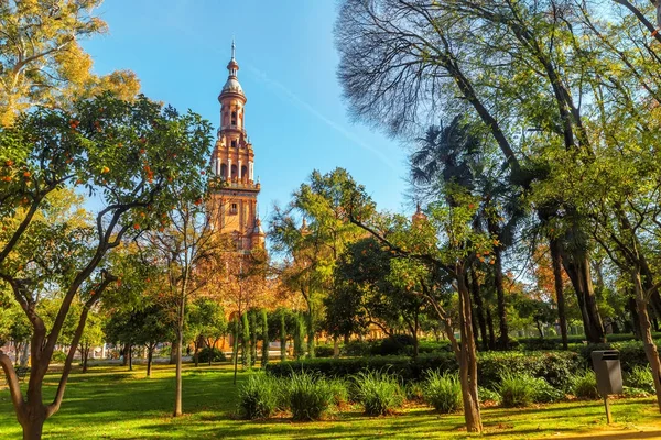 Kuleye bakış Plaza Espana Maria Luisa Park üzerinde — Stok fotoğraf