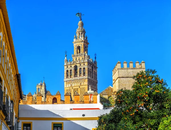 Cathedral of Saint Mary av se. Sevilla, Spanien. — Stockfoto