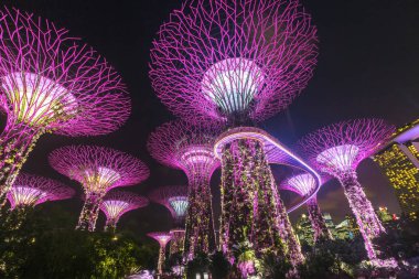 Bay Singapur tarafından Gardens süper ağaçlar.