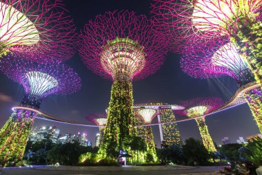 Bay Singapur tarafından Gardens süper ağaçlar.