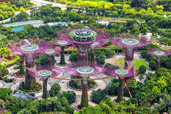 Bay Singapur tarafından Gardens süper ağaçlar.