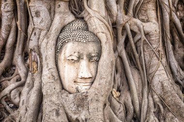 Ayutthaya Tarih Parkı, Ayutthaya, Tayland.