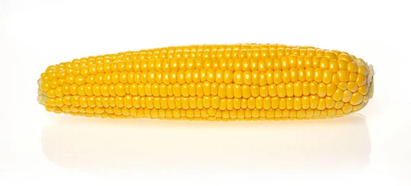 Sárga Kukorica Izolált Fehér — Stock Fotó