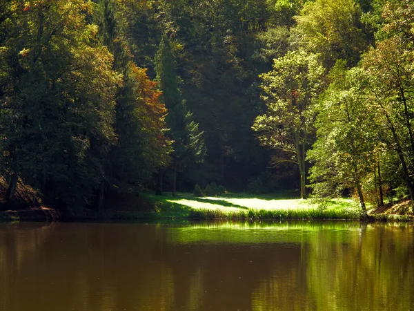 Zonnig Meer Het Diepe Bos — Stockfoto