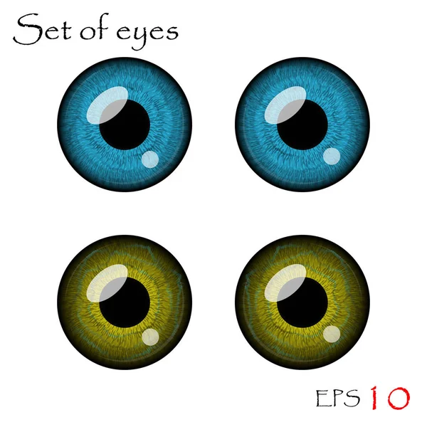 Colección ojos vectoriales — Vector de stock