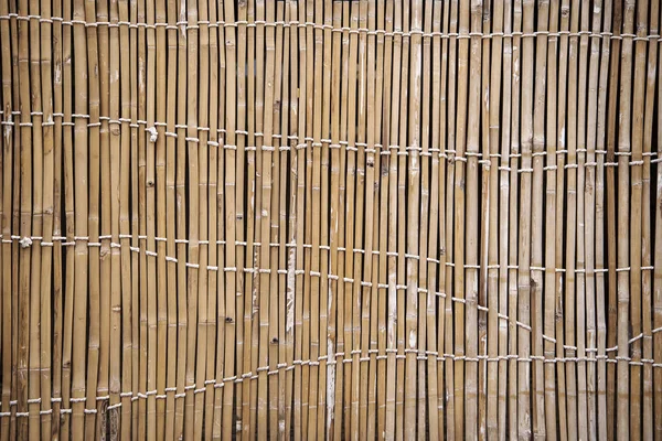 Valla de bambú Arte . — Foto de Stock