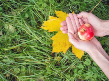 Female hand holding a red ripe apple on the background of green 
