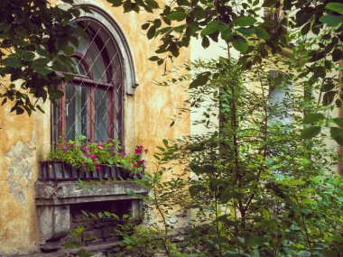 Eski cephe daire bina cam. Yeşil bahçesinde retro bina 