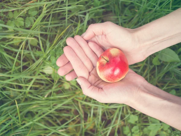 Здоровую вегетарианскую еду. Женщина держит за руку красное спелое яблоко. C — стоковое фото