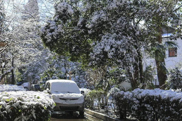 Fuertes nevadas en las calles de la ciudad, casas y coches — Foto de Stock