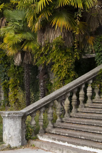 Old stone balustrade of railing background of green palm trees. Classic design and architecture. A picturesque landscape. Stock Photo
