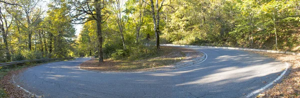 A winding road curves through autumn trees. Panorama