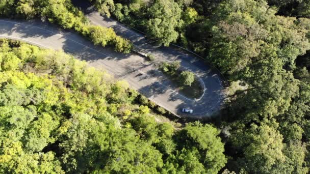 Vista aérea do carro que conduz na estrada rural na floresta. Um drone cinematográfico disparou a voar. Natureza, viagens, férias. Movimento 4K — Vídeo de Stock