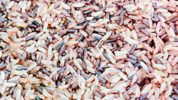 Riceberry Arroz e arroz integral na Tailândia — Fotografia de Stock