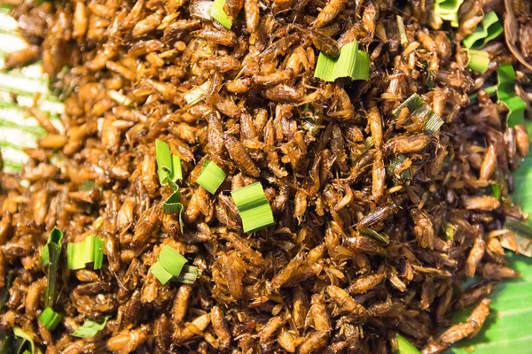 Fried insect food in thailand