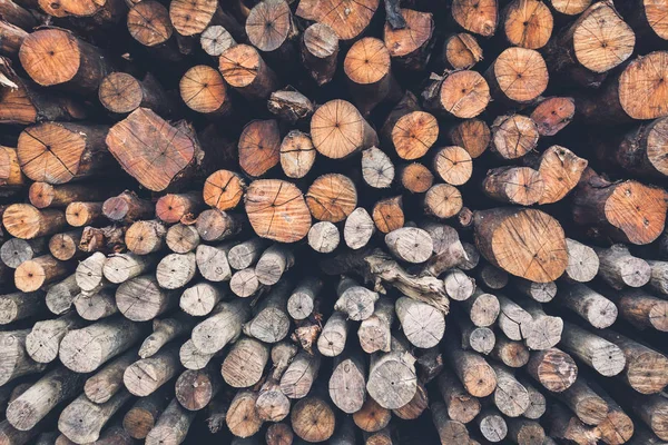 Stapel brandhout haard voorbereid Stockfoto