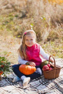 Bir piknik sepeti kabak ve elma ile kız. Hasat, Cadılar Bayramı kutlama