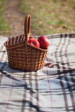 Çayır piknik. Kırmızı elma sepeti