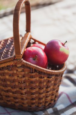 Çayır piknik. Kırmızı elma sepeti