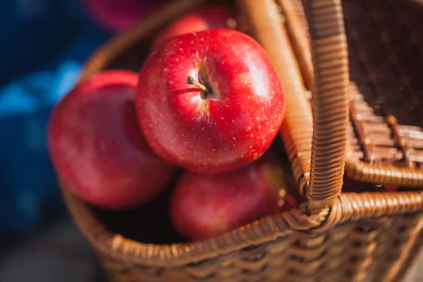 Çayır piknik. Kırmızı elma sepeti