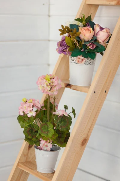 Çiçekler beyaz tencere merdiven basamaklarında standı