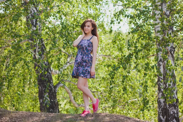 Menina bonita em um vestido multi-colorido com cabelos longos na floresta no verão — Fotografia de Stock