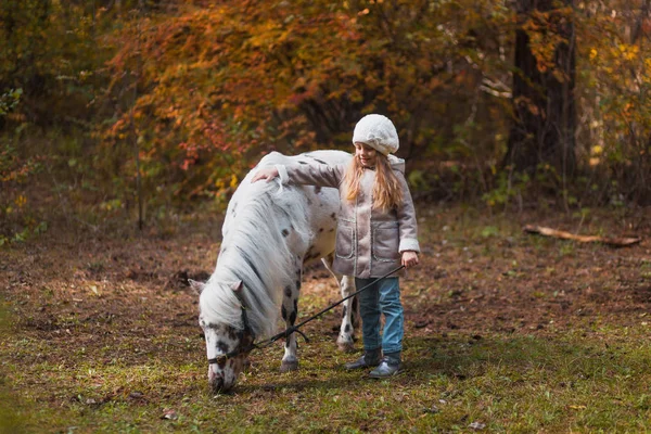 Sonbahar ormandaki bir midilli ile yürüme küçük şirin kız