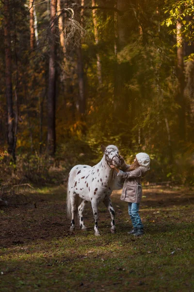 Sonbahar ormandaki bir midilli ile yürüme küçük şirin kız