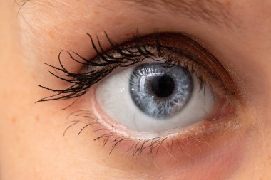 Kafkasyalı genç bir bayanın mavi gözlerine aşırı yakın bir bakış, sağlık ve güzellik kavramı..