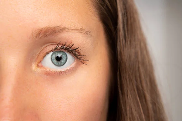 Blauw Oog Van Meisje — Stockfoto