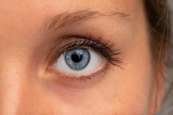 Una Vista Cerca Del Ojo Azul Una Joven Dama Caucásica — Foto de Stock