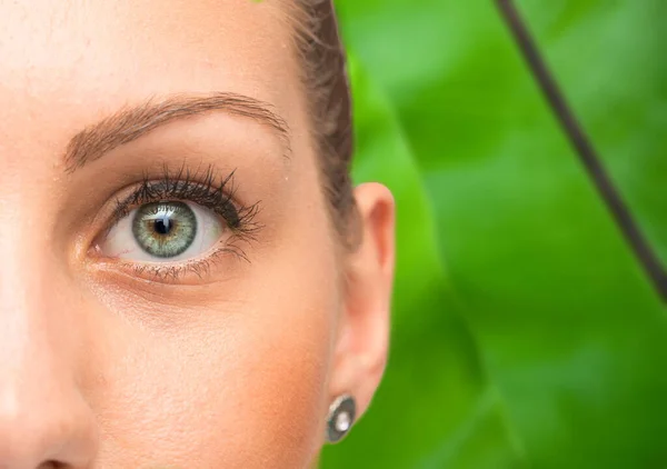 緑の葉の背景に美しい女性の顔の閉鎖 人間の目の詳細ビュー フィールドの浅い深さ — ストック写真