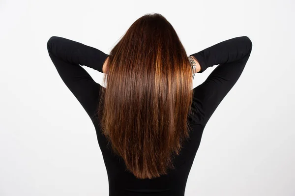 Achteraanzicht Van Gezonde Brunette Glad Haar Met Hoogtepunten Haarverzorging Concept — Stockfoto