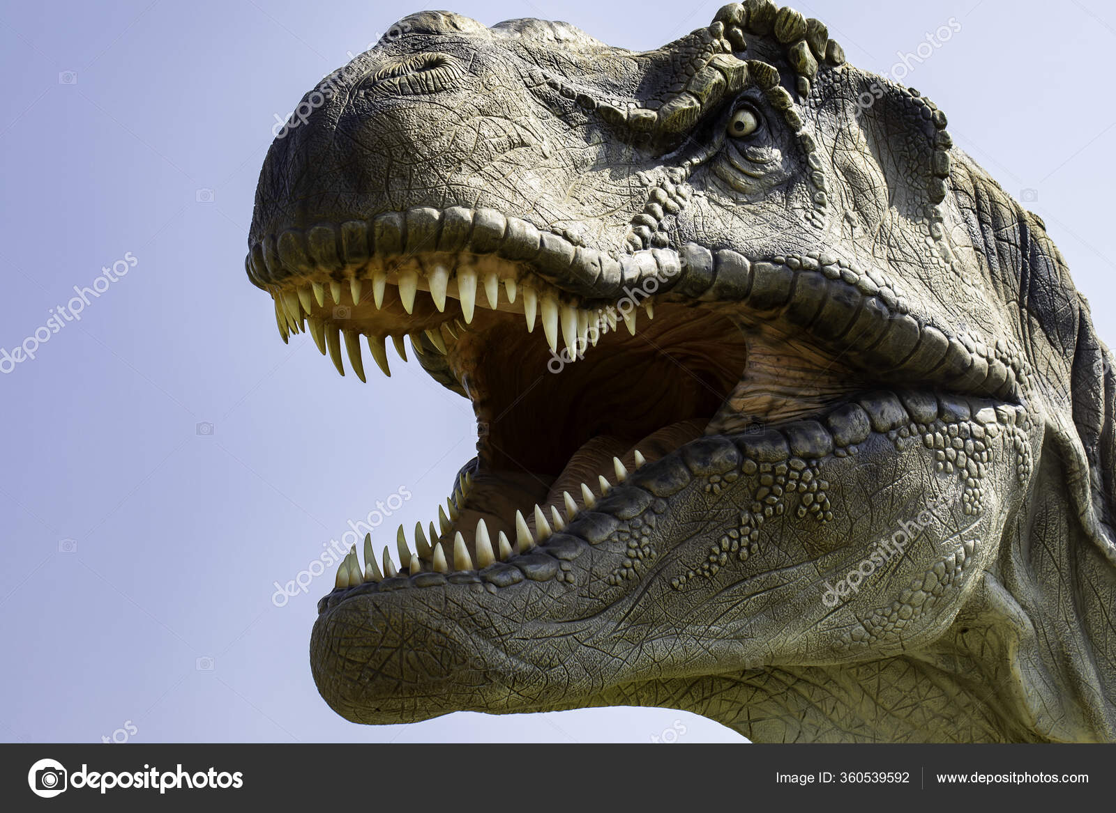 Vue Rapprochée D'une Sculpture Modèle Tyrannosaurus Rex Plein Air Dino —  Photo de stock par ©sruilk - 360539592, image size:1600x1167