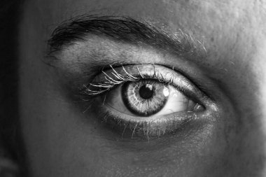 Closeup details of the female eye, macro view on the glamorous and attractive eyes of a young and confident woman, seen in black and white. clipart