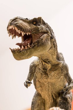 Dinozor tyrannosaurus rex beyaz arka planda izole edildi