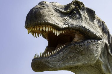 Dışarıdaki Tyrannosaurus Rex modelinin yakın çekim görüntüsü. Tarih öncesi yırtıcı dinozorlar detaylı bir şekilde ortaya çıkarıldı.
