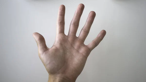 An extreme closeup view on the palm of the hand of a caucasian person, high five isolated against a white background with copy space