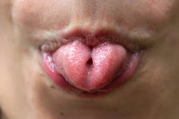 一个高加索成年人卷曲的舌头上的特写镜头 把舌头伸出来 用一种愚蠢的方式把边缘向上卷曲 — 图库照片