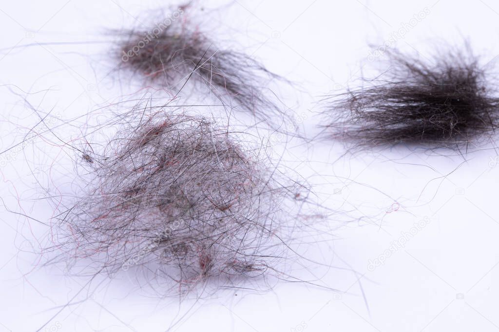An extreme close-up view on piles of hair and dirt. Pulled from the hose of a vacuum cleaner. Buildup of dust in the home.