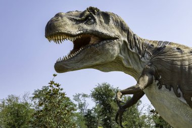 Açık çene ile Tyrannosaurus rex tehdit