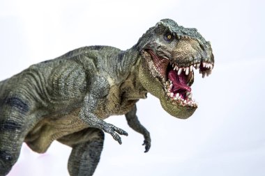 Açık çene ile Tyrannosaurus rex tehdit