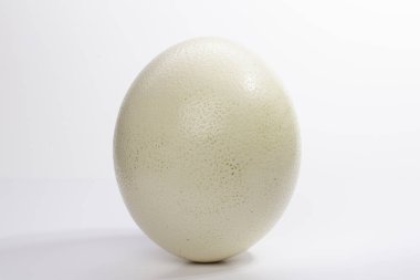 Beyaz üzerine izole edilmiş tek beyaz tavuk yumurtası.
