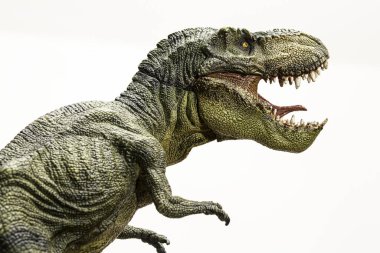 Tyrannosaurus rex dinozor beyaz arka planda izole edilmiş bir model