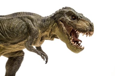 Kaygı verici bir T-Rex dinozor figürünün, temiz beyaz arka planda izole edilmiş aşırı yakın görüntüsü. Keskin dişleri olan korkunç bir hayvan..