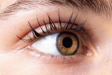 Makro bir bakış açısı uzun kirpikli, beyaz, çekici bir kızın sağlıklı kahverengi gözü. Gözlerinin etrafında kusursuz bir ten.