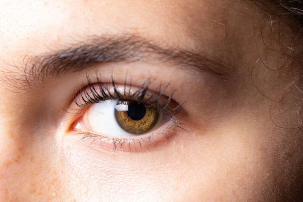 Uma Visão Close Extrema Sobre Íris Marrom Olho Uma Linda — Fotografia de Stock
