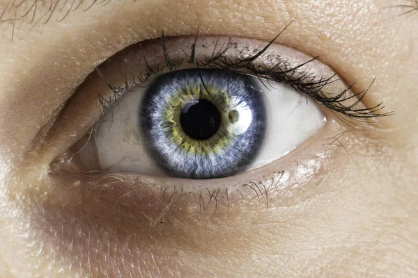 Detalhes Olho Azul Profundo Feminino Com Notas Verde Cores Marmorizadas — Fotografia de Stock